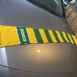 Original Sonic Scarf