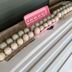 eggs