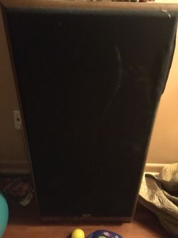 Two 12” subwoofer indoor speakers