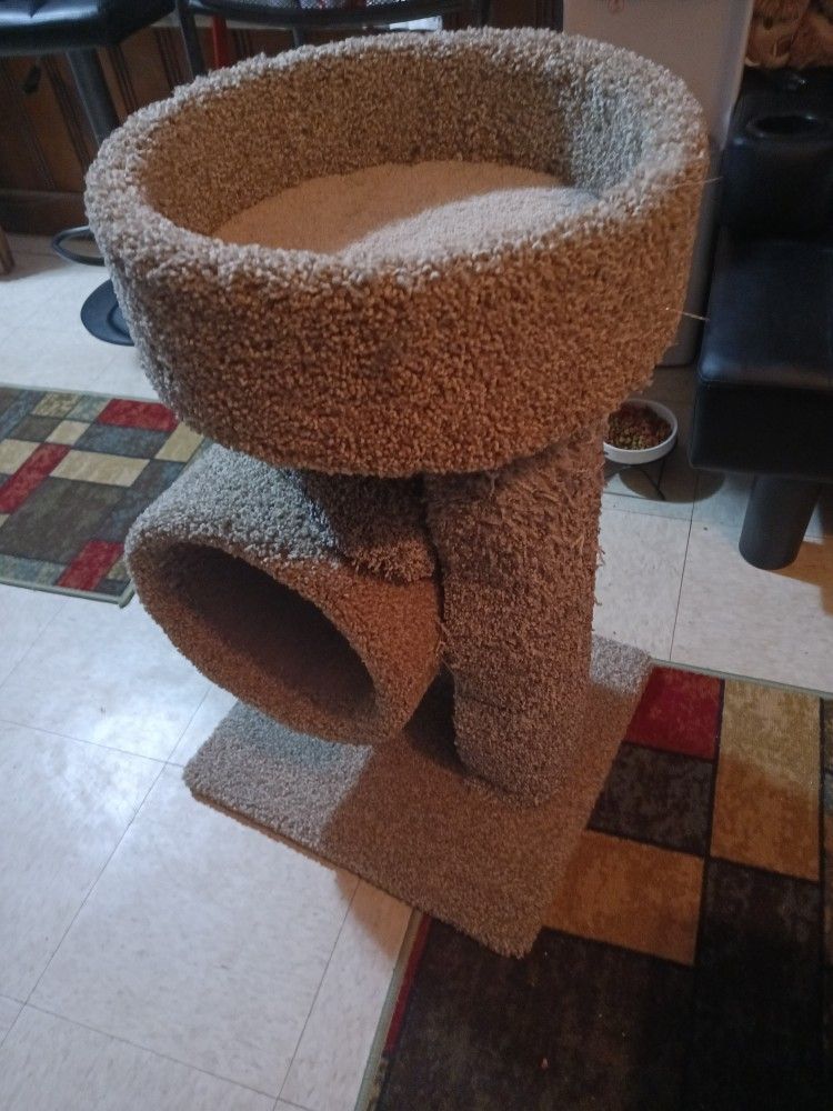 Cat Play And Sleeps Pen