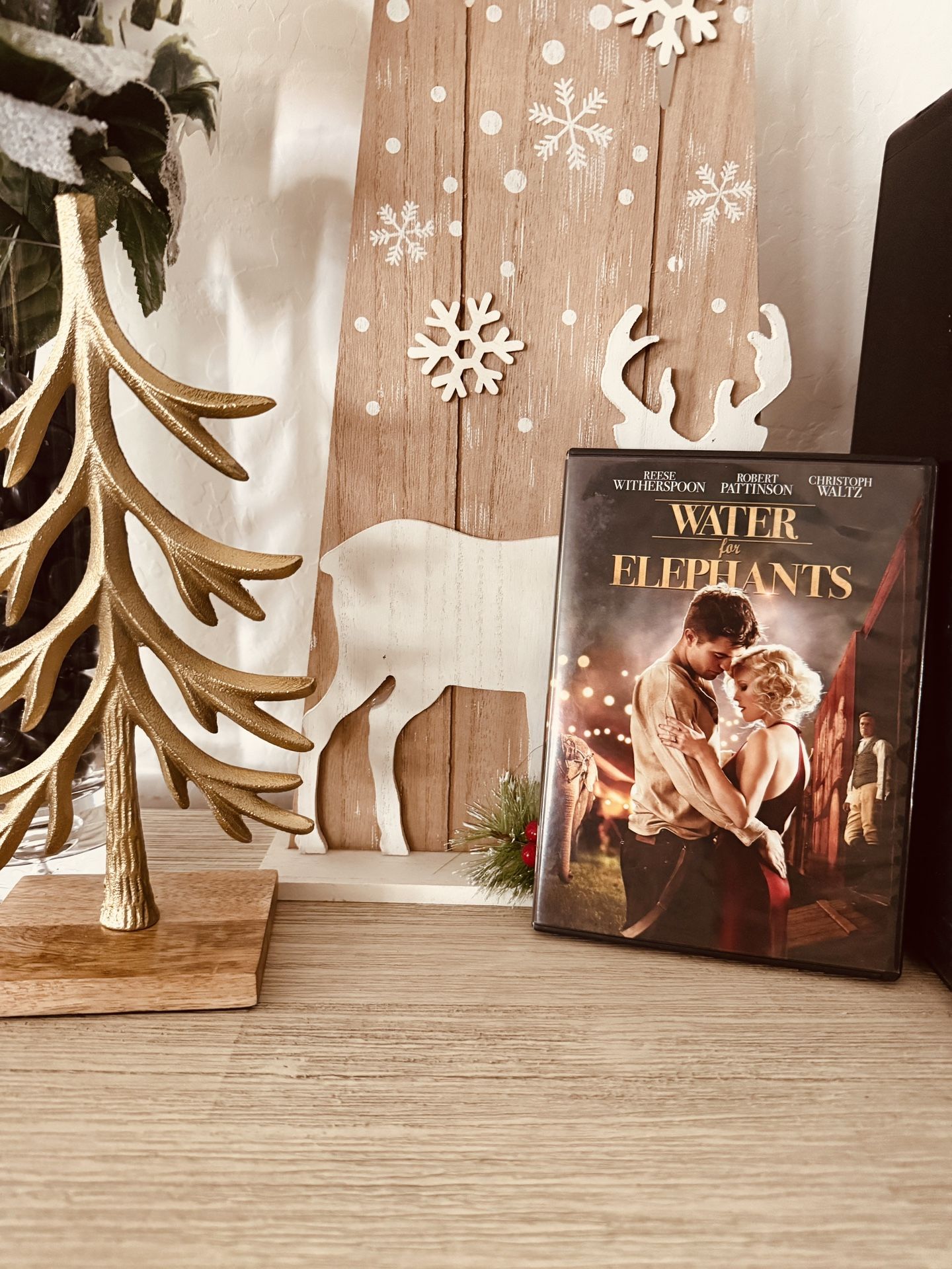Water For Elephants DVD