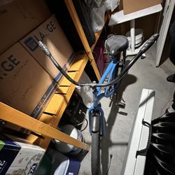 Cruiser Bike