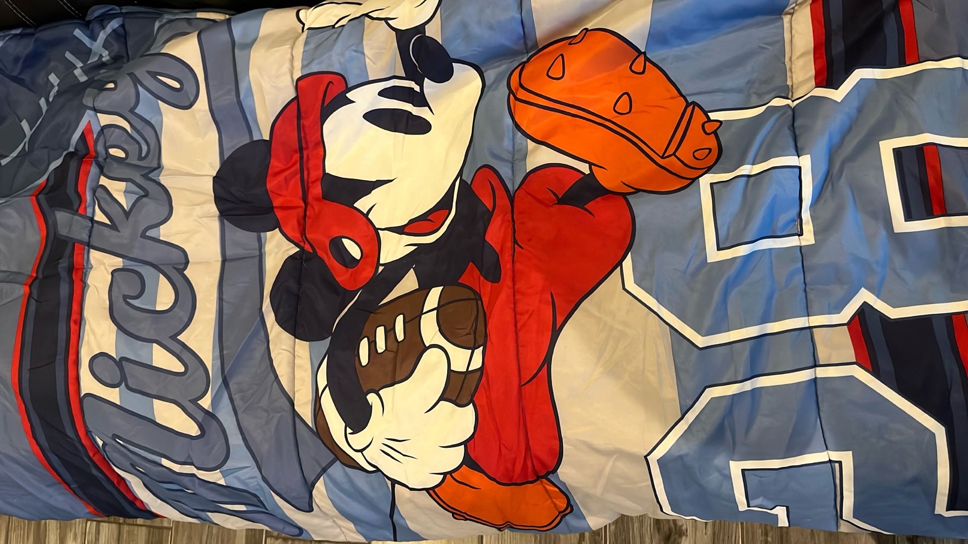 Frozen And Mickey Sleeping Bags 