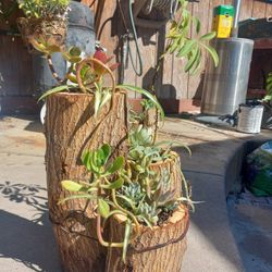 Call It What You Want