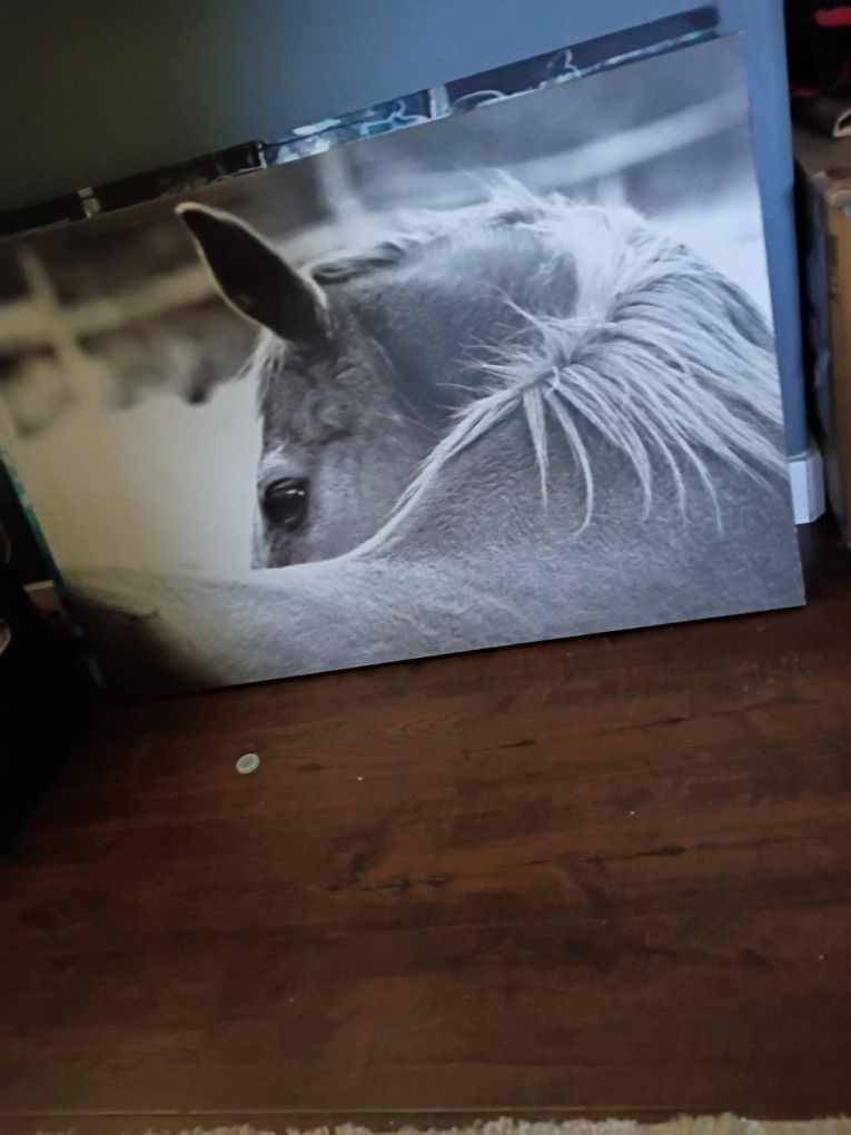 Horse Painting On Canvas 3x2