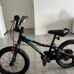 Trek Bicycle Ring 16