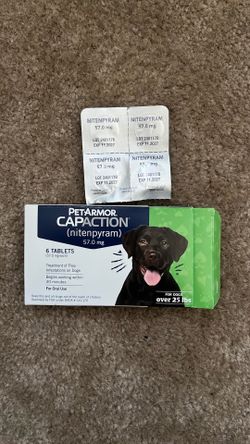 Dog Flea & Tick
