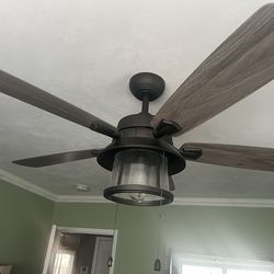 Shanahan 52 in. Indoor/Outdoor