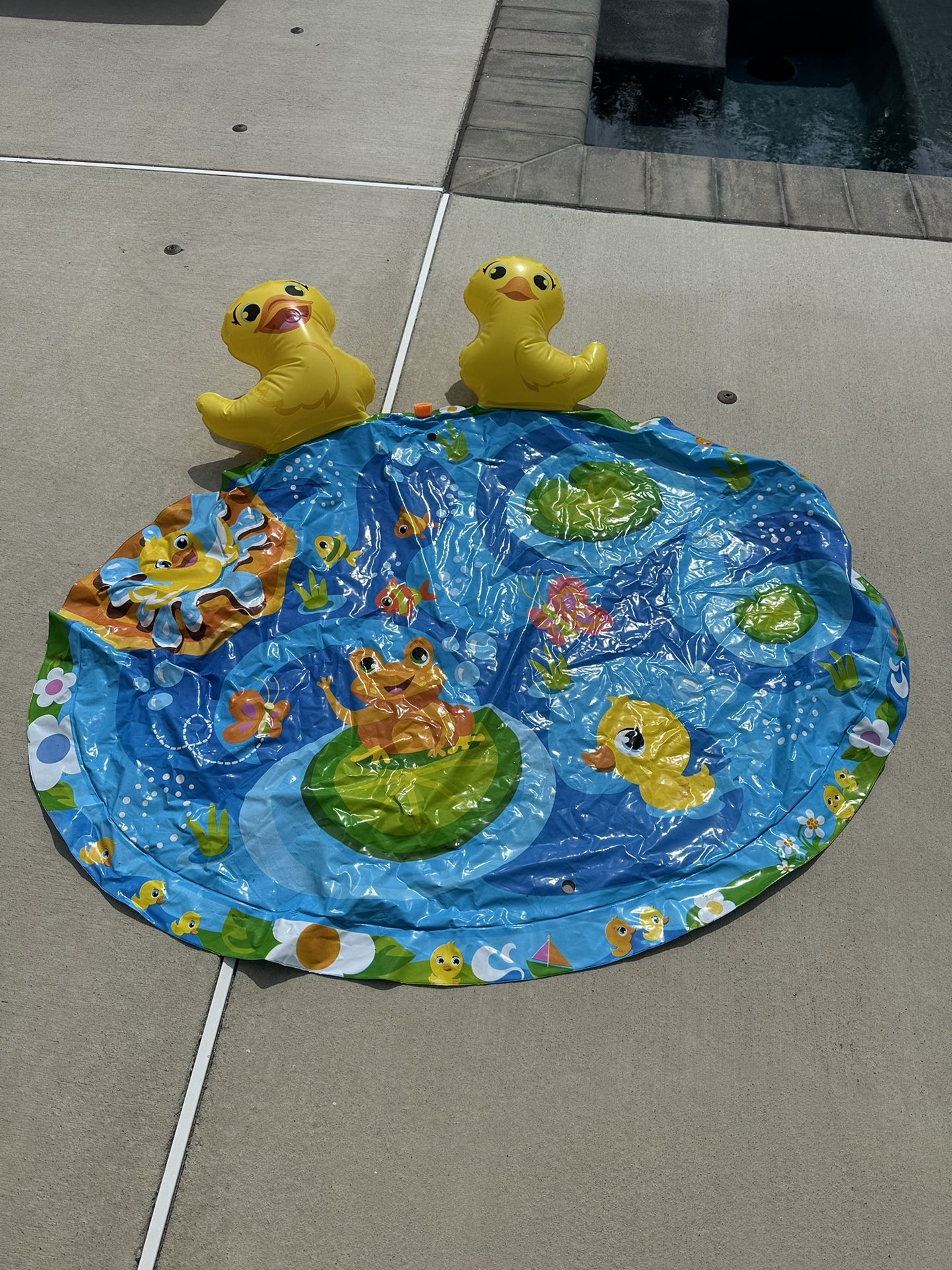 Ducky Pond Splash Mat