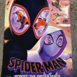 Spider-Man Across The Spiderverse 27x40 DS Movie Poster