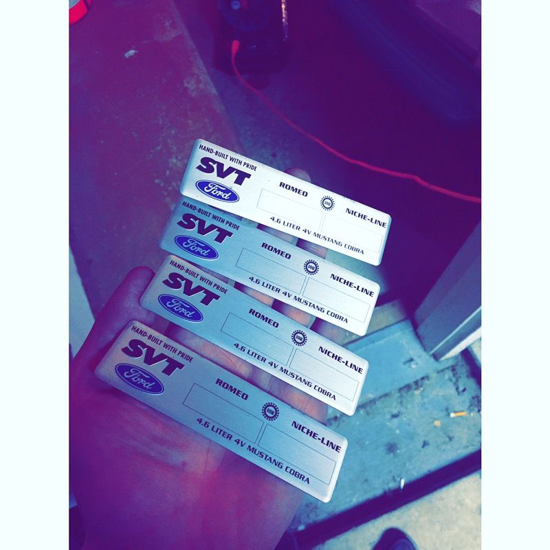 SVT Ford Mustang Engine tags.