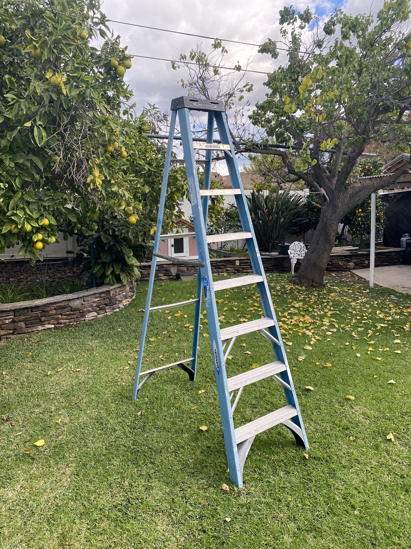 8ft Werner Fiberglass Step Ladder