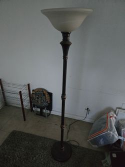 Torchiere Floor Lamp Bronze Finish