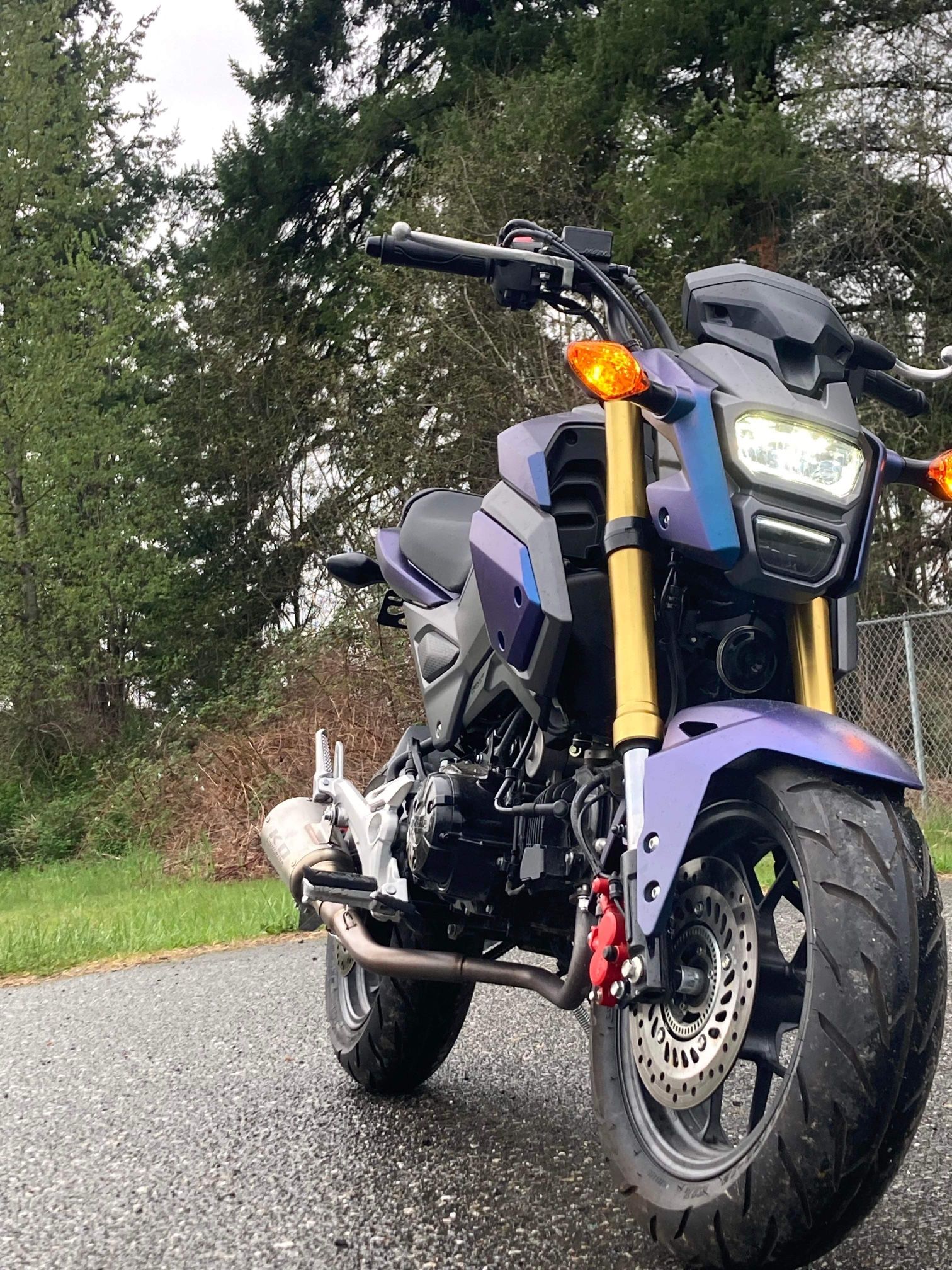 2018 Honda Grom for Sale in Edmonds, WA OfferUp