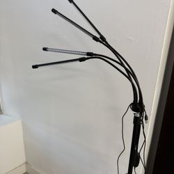 Red Light Therapy with Stand