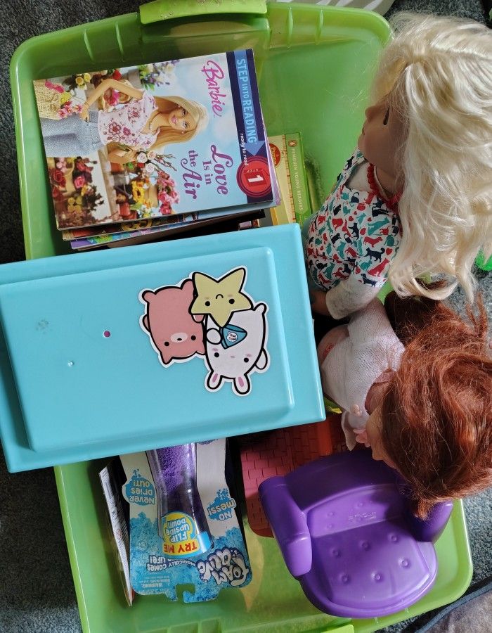 Tote Full Of Girls Toys And Books