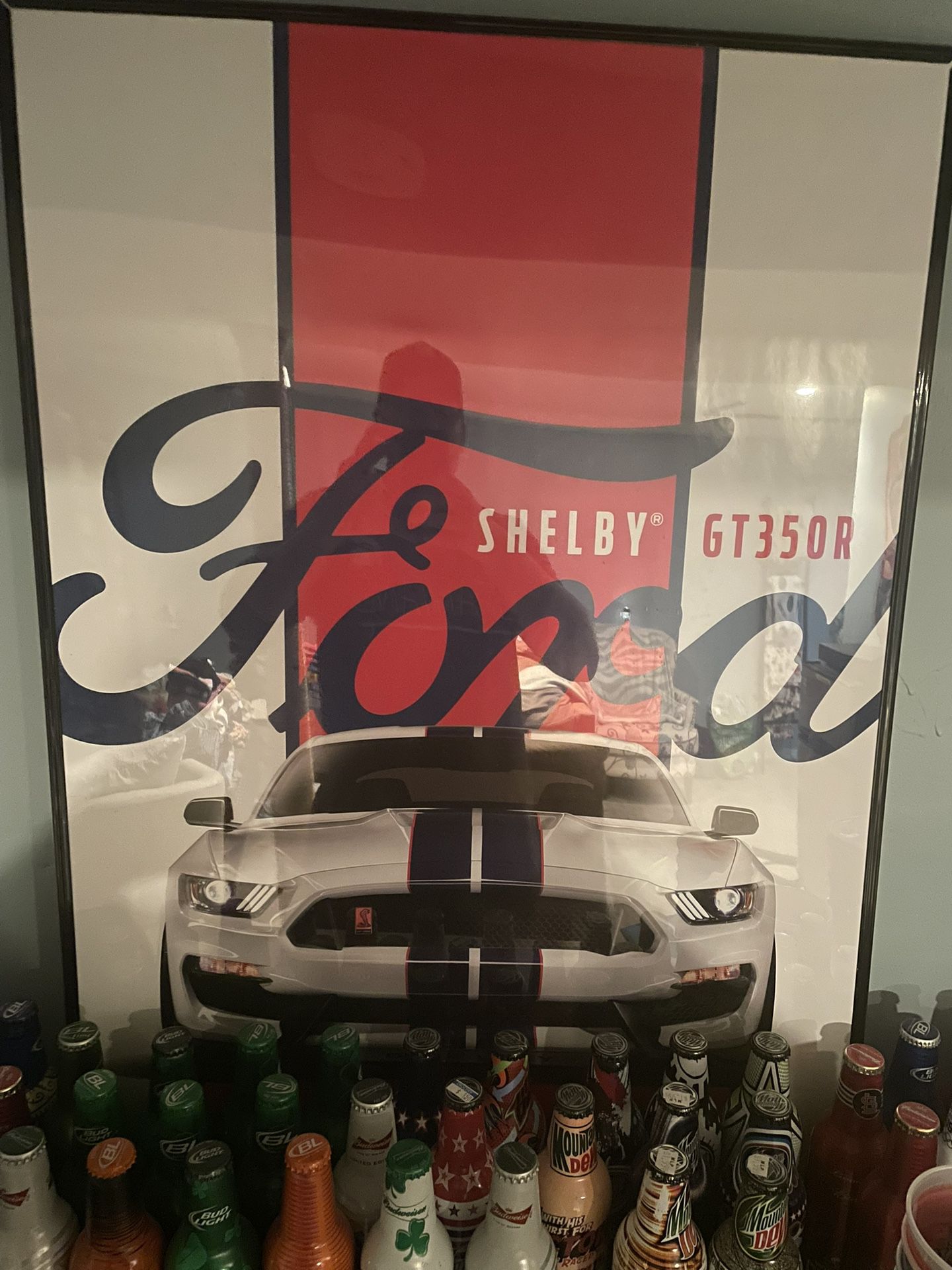 Ford Shelby Gt350r Mustang Poster.
