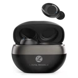 Wireless Earbuds, Upgraded 5.0 Bluetooth Earbuds with 35-40 Hours Playtime Linpa World (X-Large)