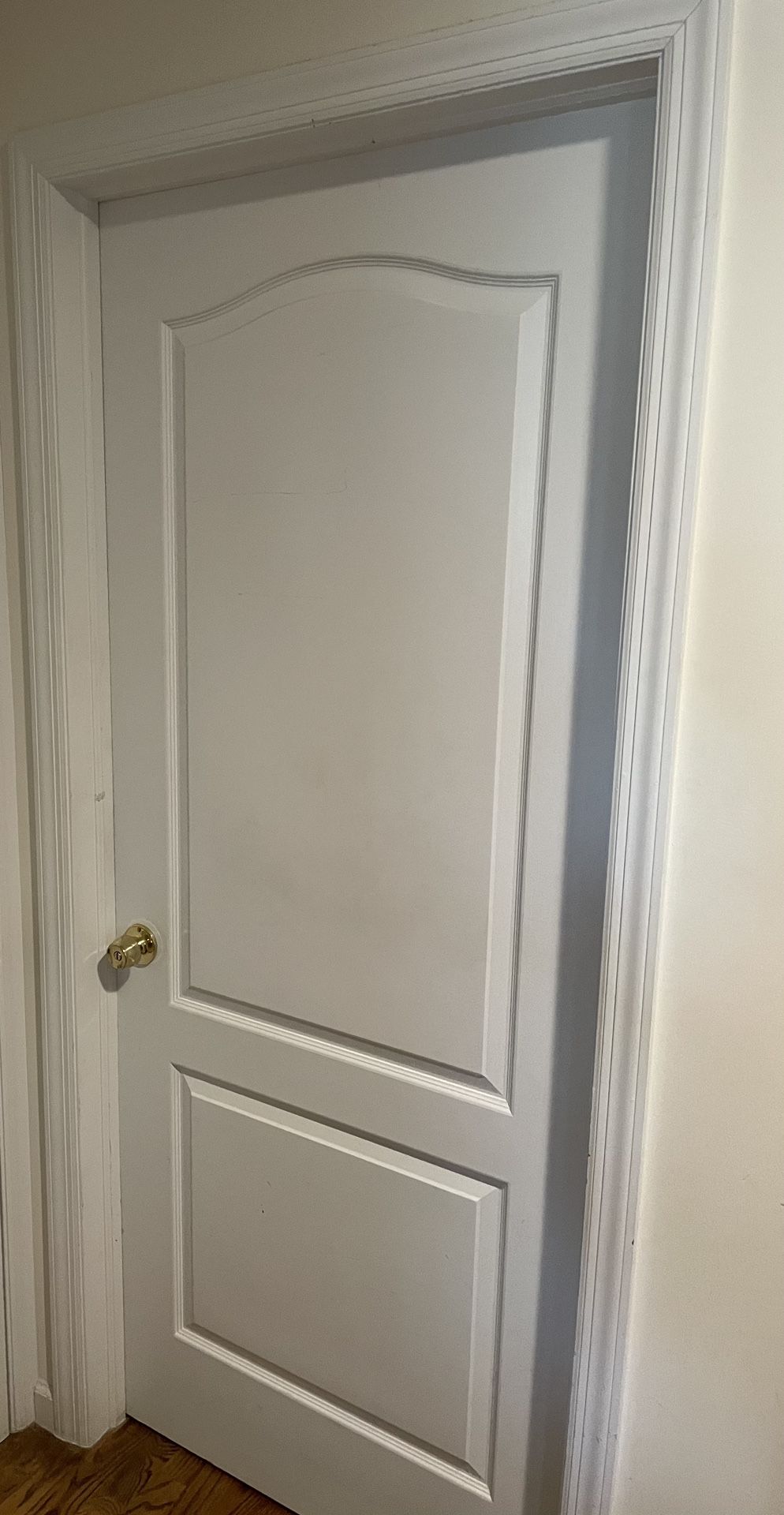 Door with brass door handle & hinges