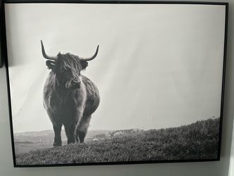 Framed Highland Cow Black and White Wall Art
