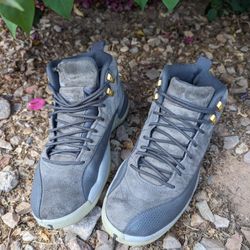 Air Jordan 12 Retro 'Dark Grey' 130690-005 Men's 10.5