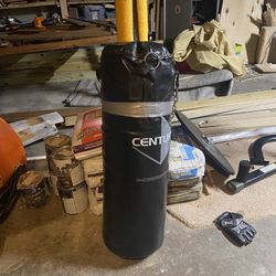 Punching bag And Stand 