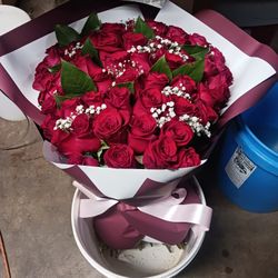 50 Rosas Roses Flowers