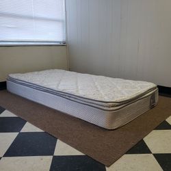 Twin size mattress - can DELIVER almost anywhere for $20 extra - gently used and in very good condition π