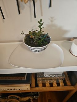 Zodax Assymetrical Decor Plate