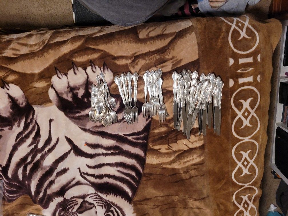 Oneida Vintage Silverware