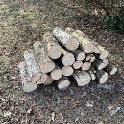 FREE wood blocks – you haul Freshly cut logs and large wood pieces available for free. Great for firewood or projects. Must pick up yourself. First co