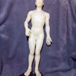 1950 Vintage Acupuncture Model Rubber Human Body Model