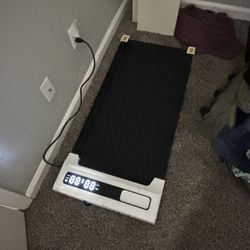 Treadmill And Stepper 