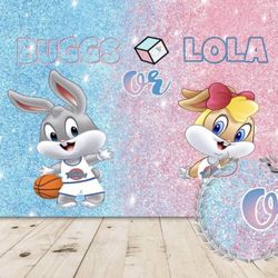 Gender Reveal Backdrop 