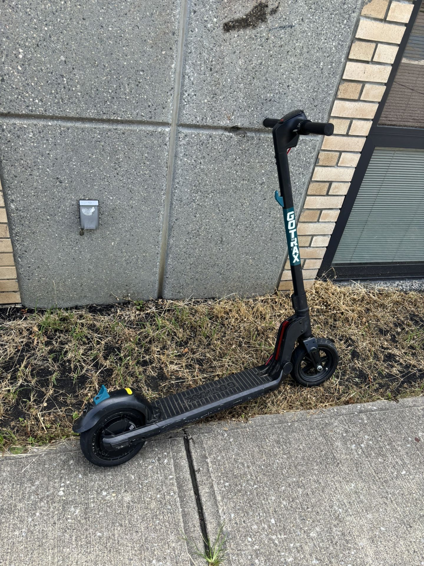 Gotrax Electric Scooter