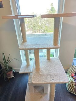 Cat Tower