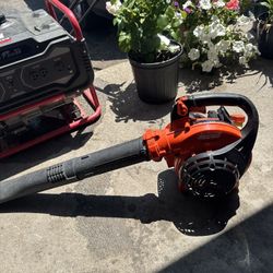Echo Leaf Blower 
