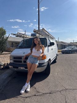 Painting Van
