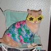 Ivonne