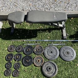 Plate Weights + Dumbbell Bars + 15-20LB Bar + Bench