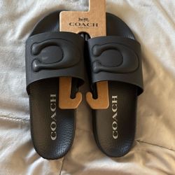 Coach Slides