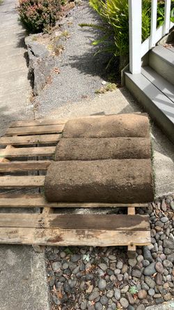Sod for sale
