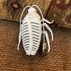 Cockroach Skeleton 
