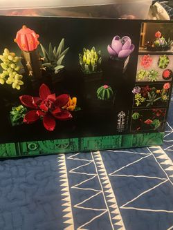 New Lego Succulents Set