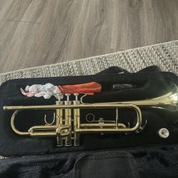 Gold Trumpet And Case