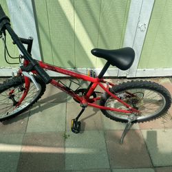 Schwinn Kids Bike