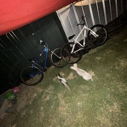 thrust Project Single Speed (trades Or Offers)29 Inch