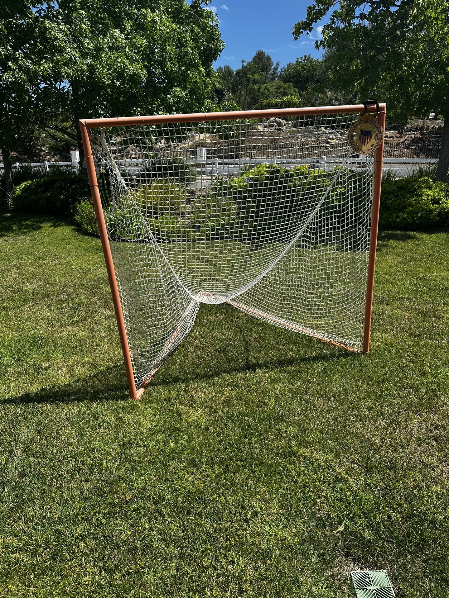 Lacrosse Net Used