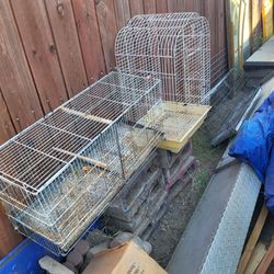 Bird cages