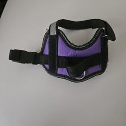 Dog Harness's & Collars